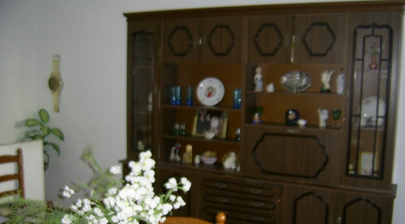 DIGITAL CAMERA