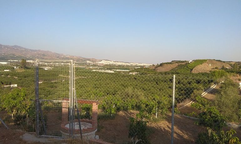 m_IMG_20190724_195544
