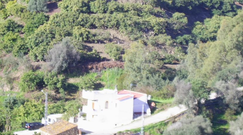 DIGITAL CAMERA