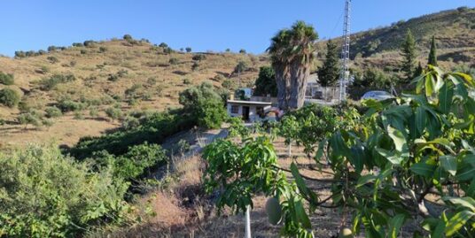 Finca Labado